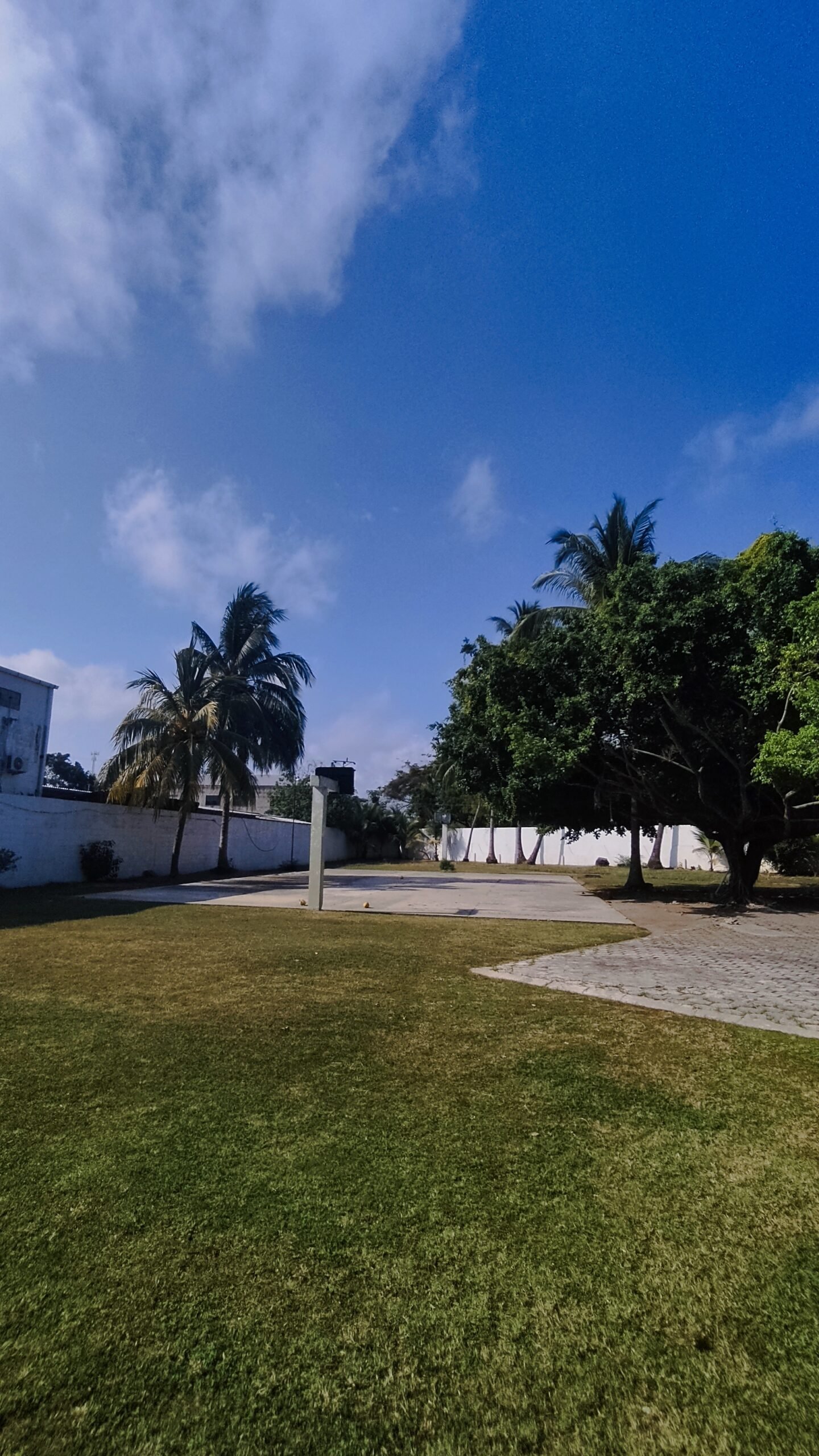 img 20250305 151128