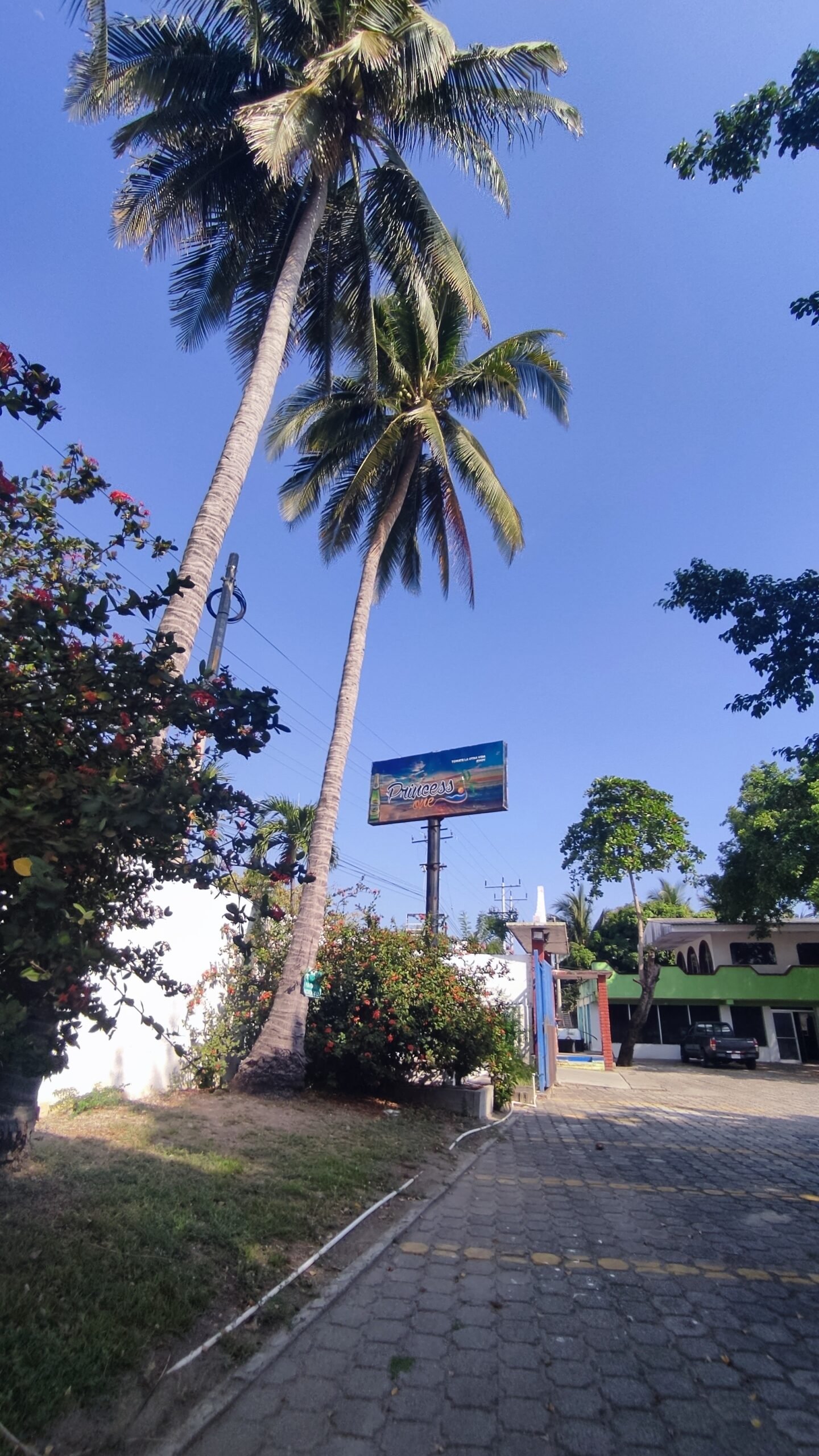 img 20250305 152100