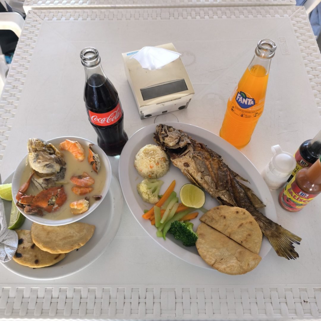img 20250206 121928